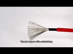 A C.C. avaliou o fio isolado da qualidade do cabo 4mm2 do picovolt do painel solar dobro vermelho preto